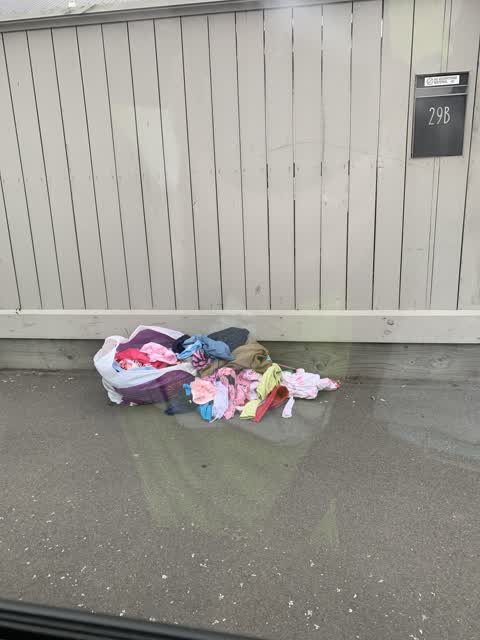 Rubbish/Recycling, a report photo