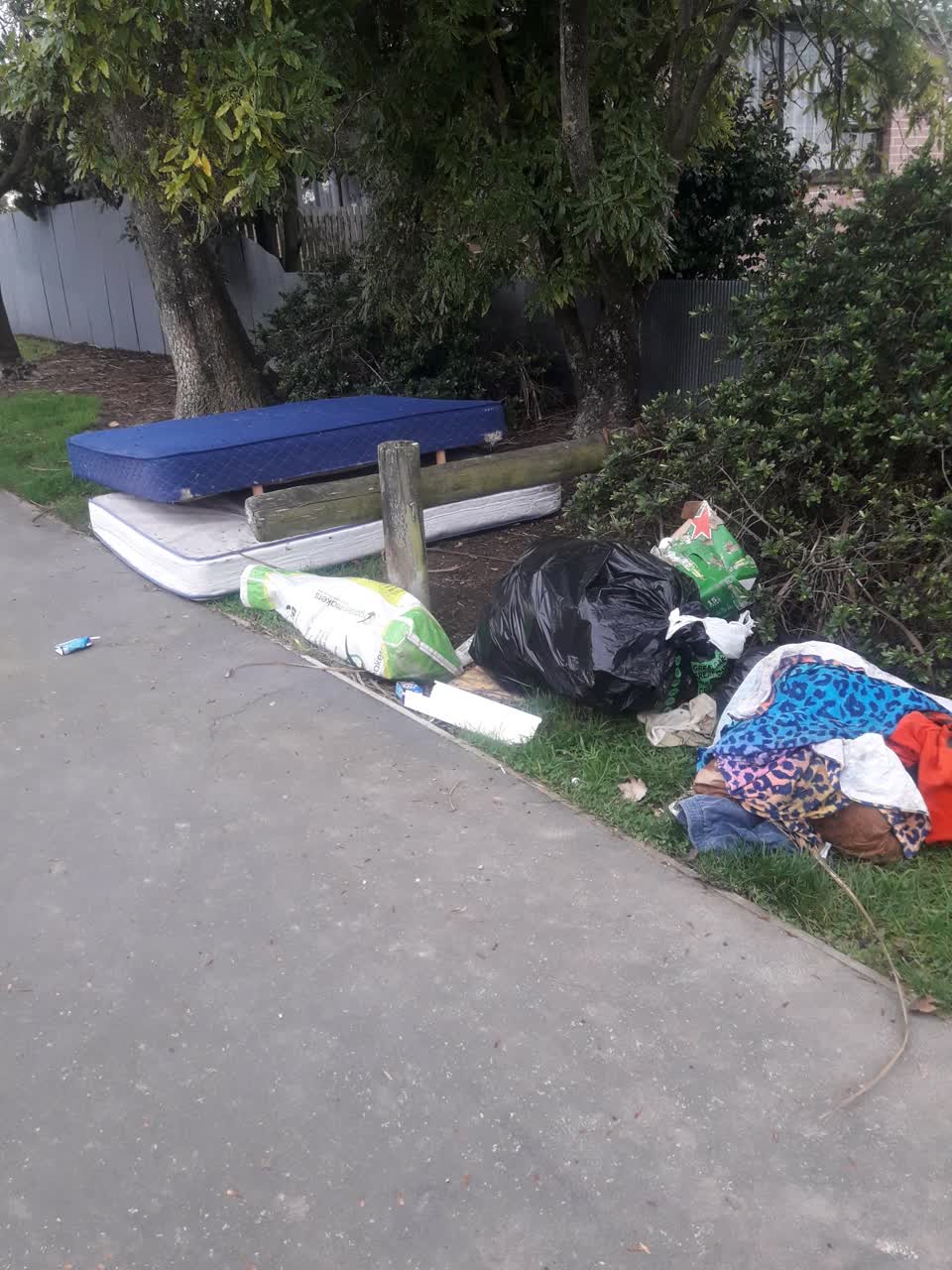 The photograph attached to this parks report
