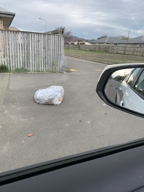 Rubbish/Recycling, a report photo