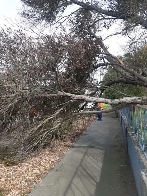 Parks, a report photo