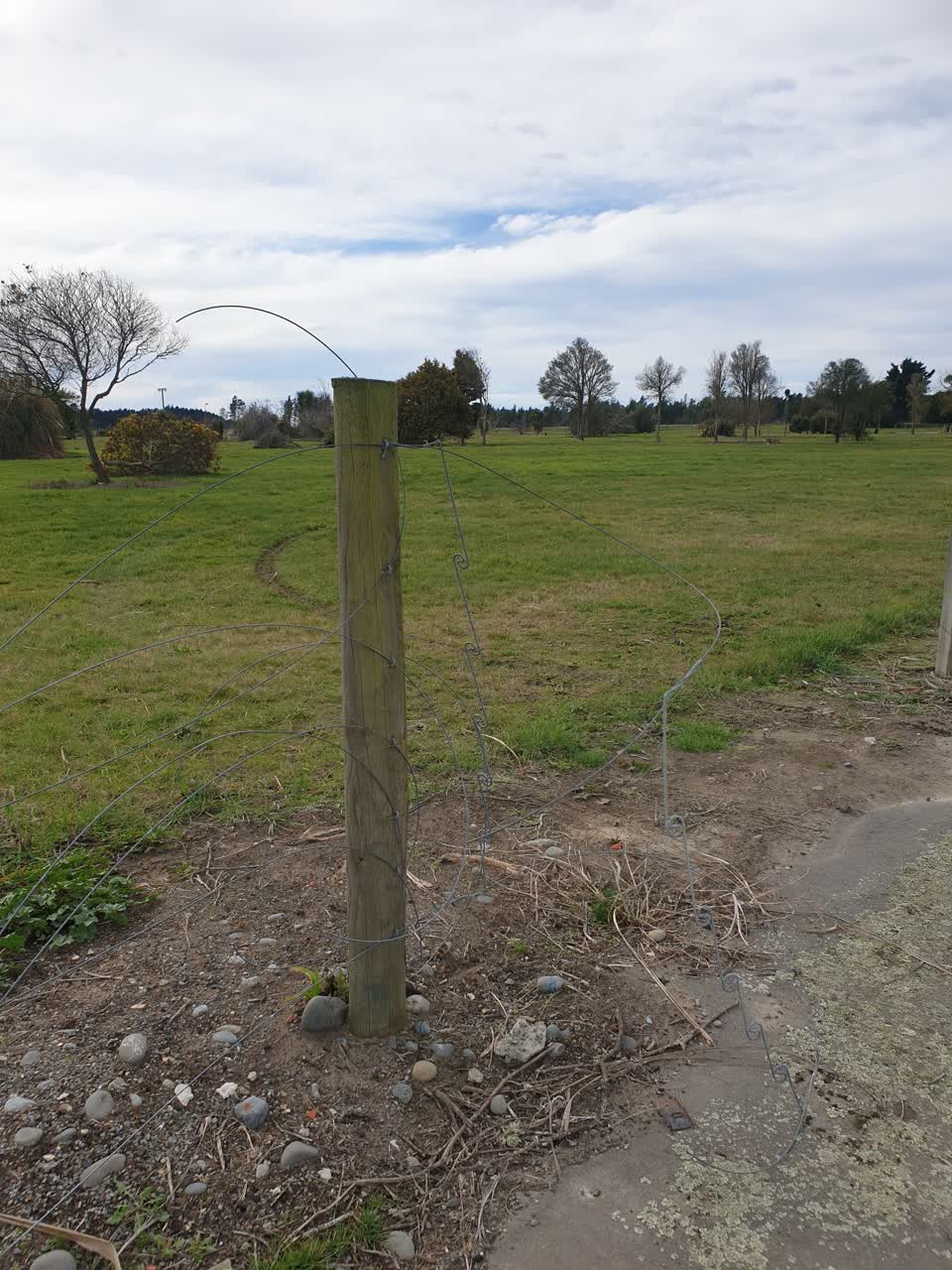 The photograph attached to this parks report