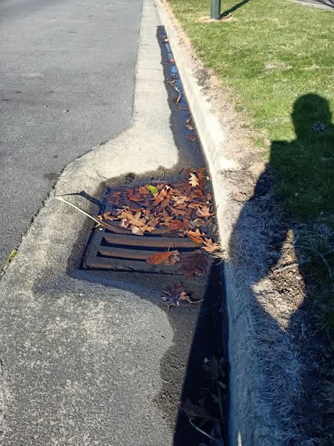 Wastewater/Stormwater, a report photo