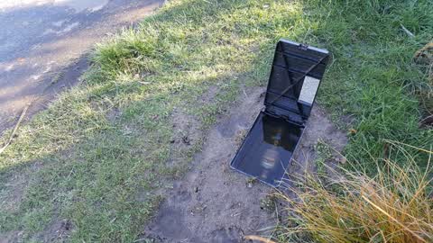 Water Leak, a report photo