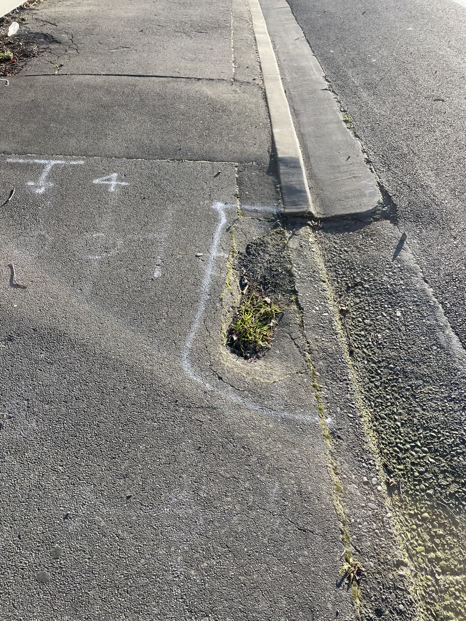 The photograph attached to this roading/streets report