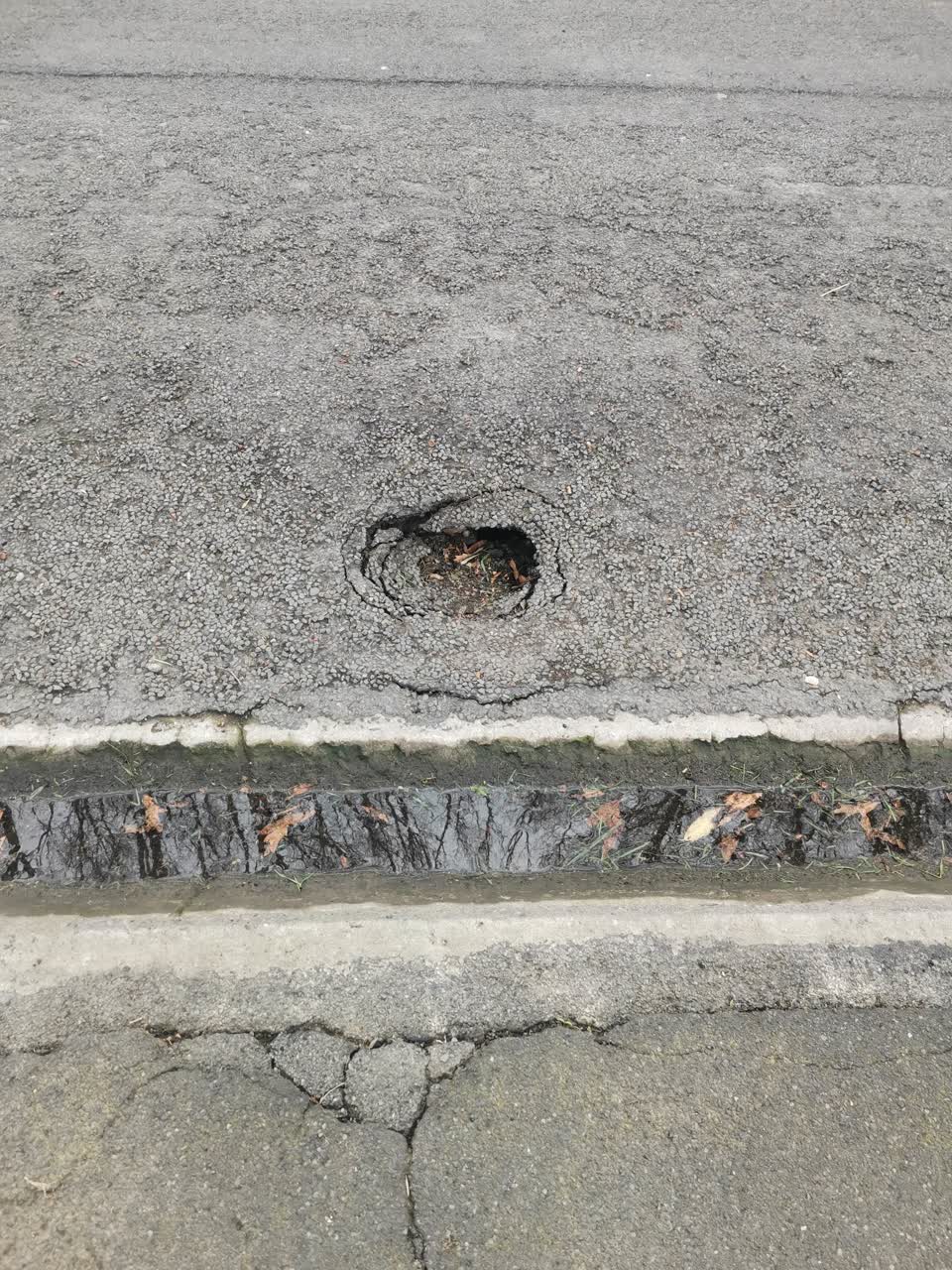 The photograph attached to this roading/streets report