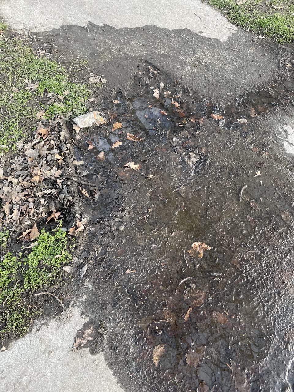 The photograph attached to this water leak report