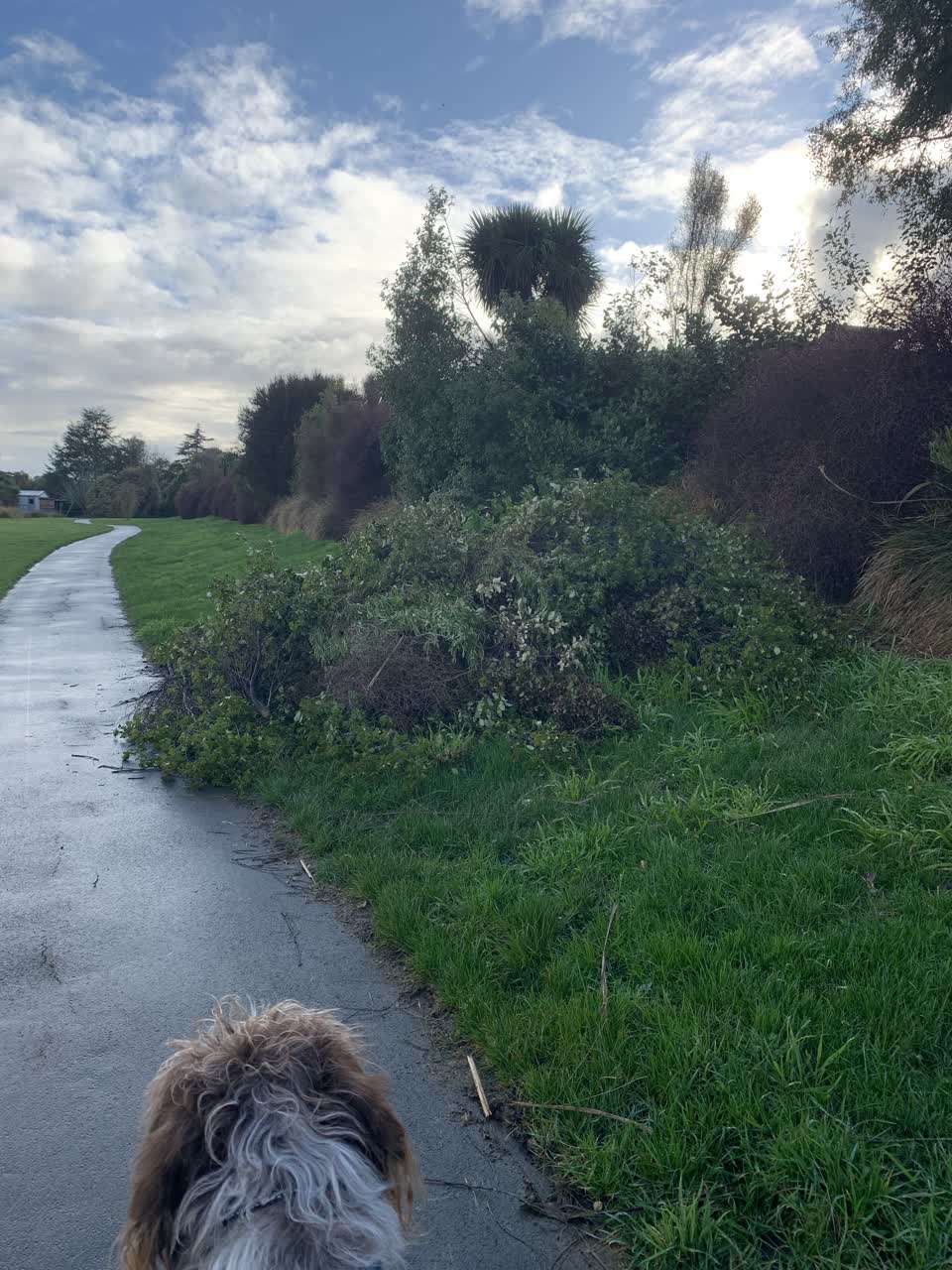 The photograph attached to this parks report