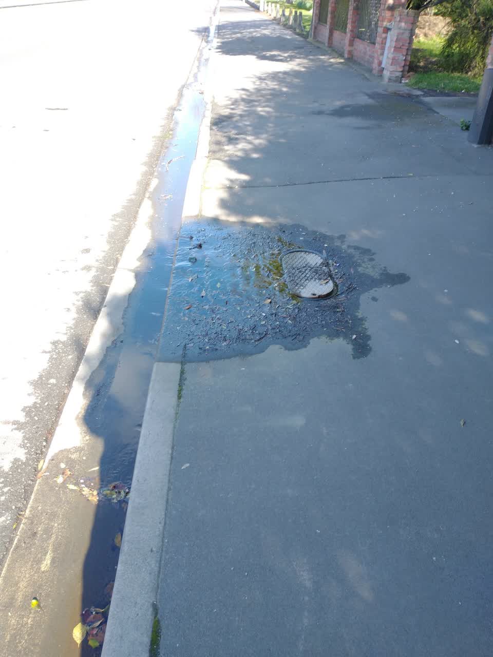 The photograph attached to this water leak report