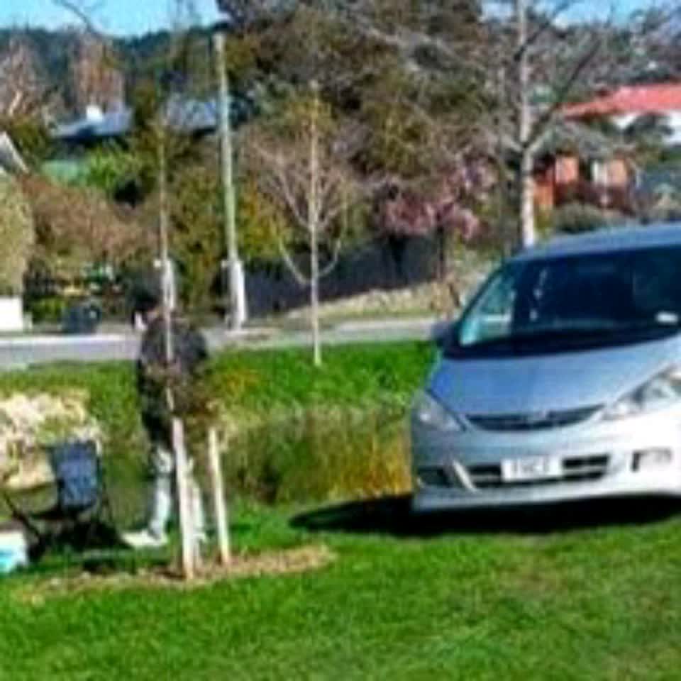 The photograph attached to this parks report