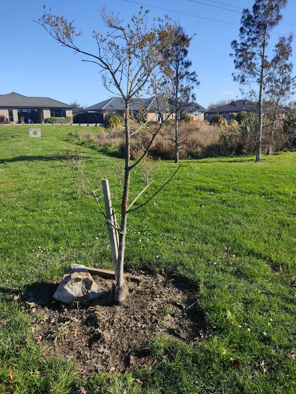 The photograph attached to this parks report