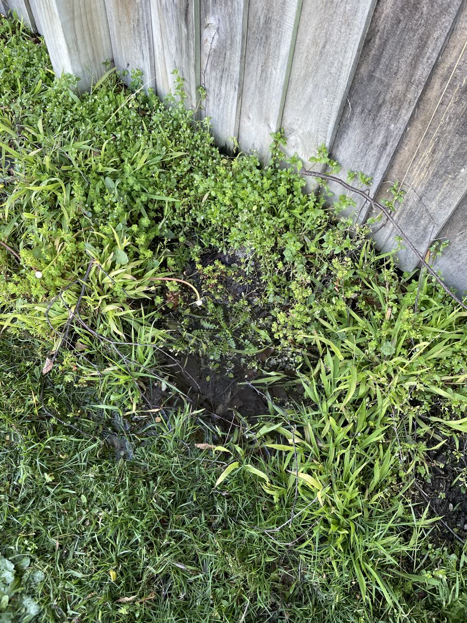 The photograph attached to this water leak report