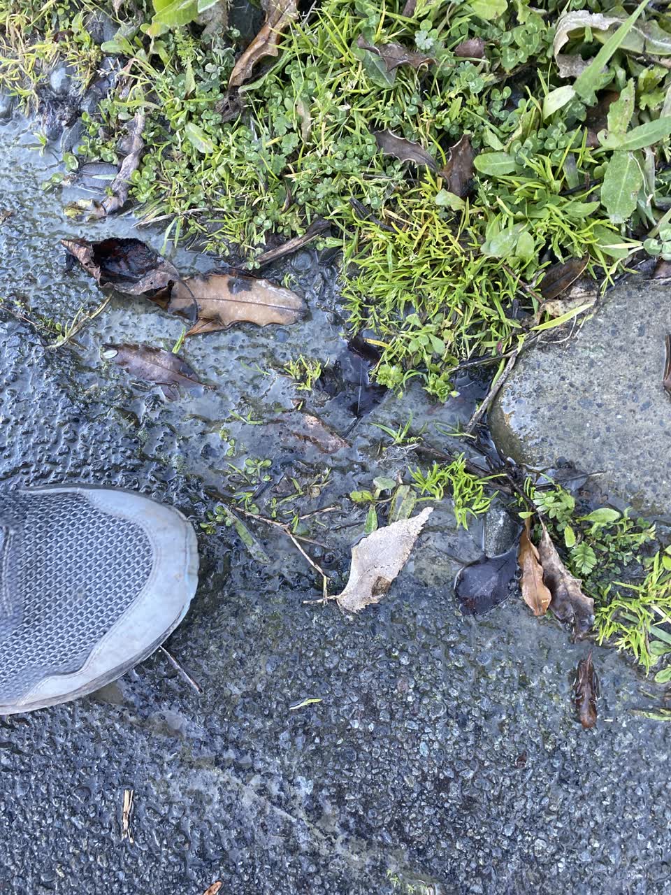 The photograph attached to this water leak report