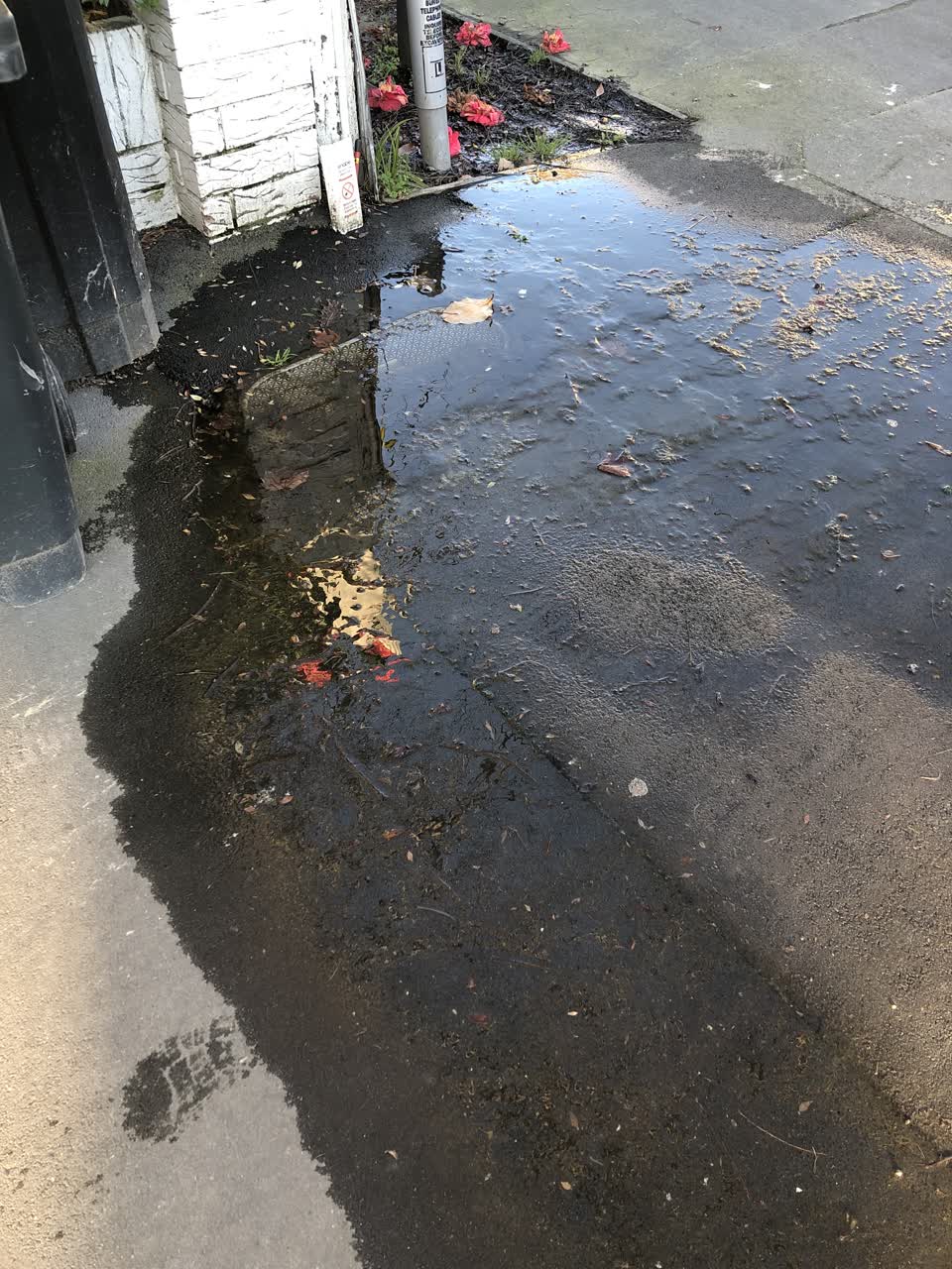 The photograph attached to this water leak report