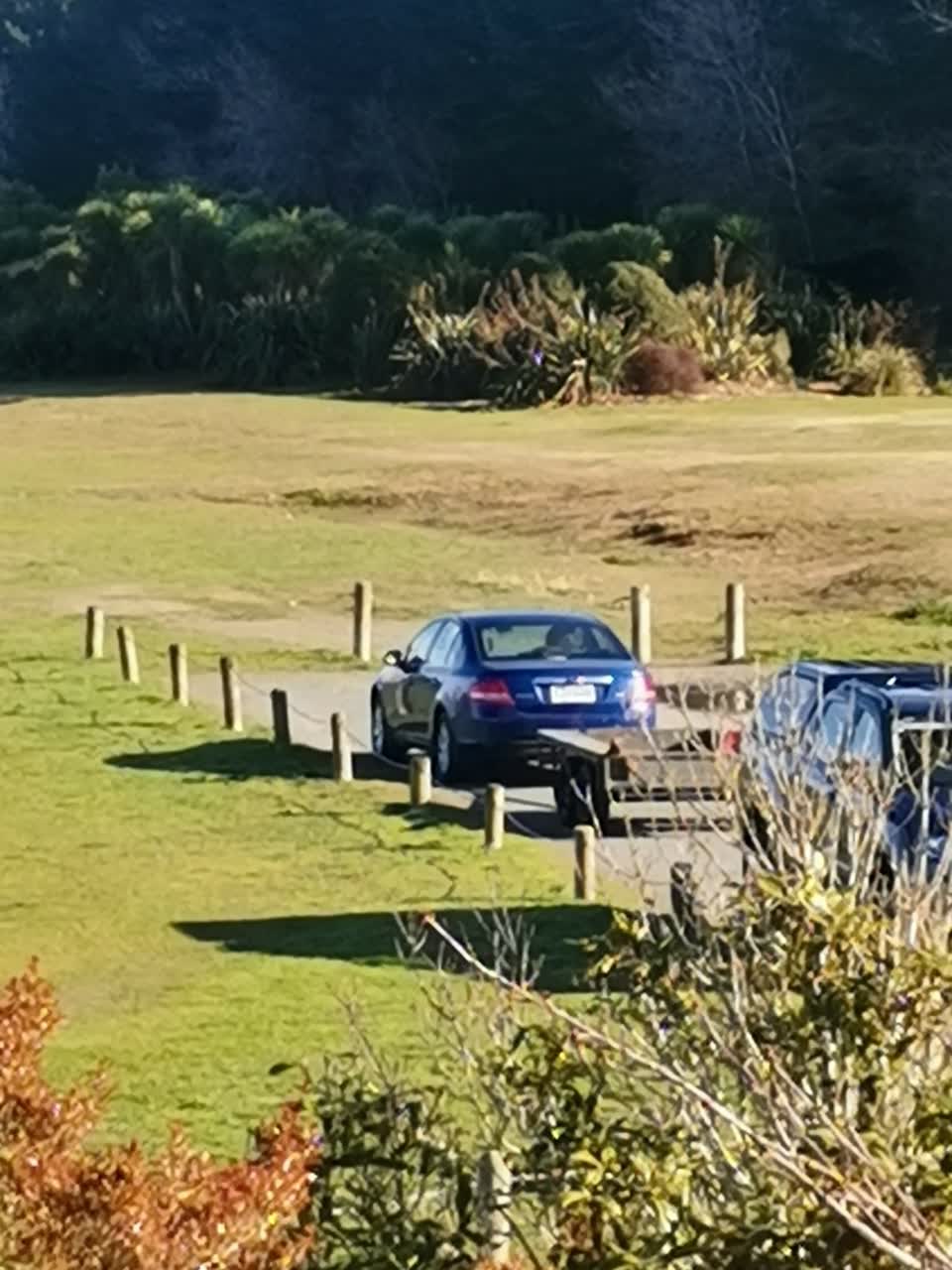 The photograph attached to this parks report