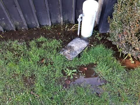 Water Leak, a report photo