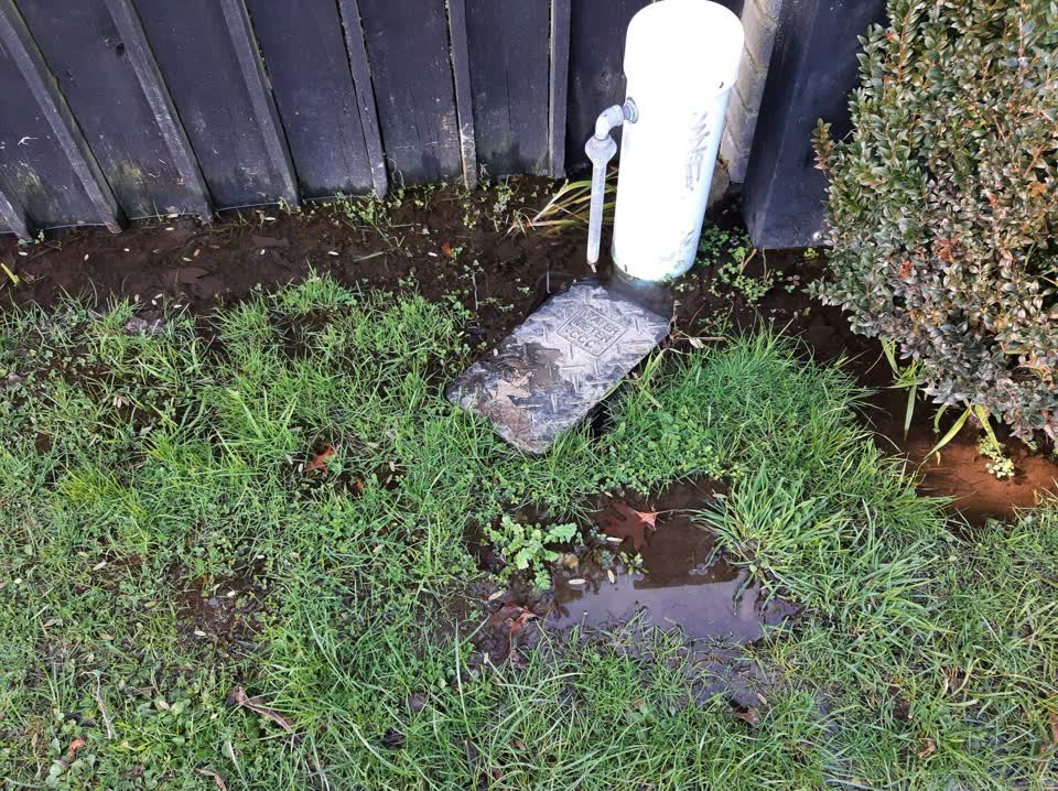 The photograph attached to this water leak report