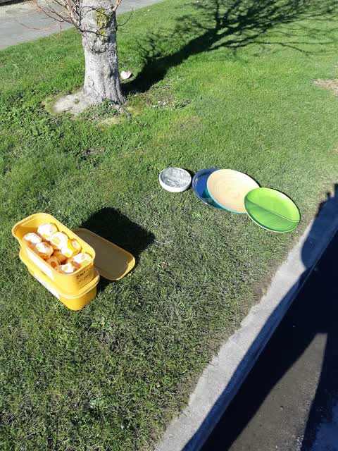 Rubbish/Recycling, a report photo