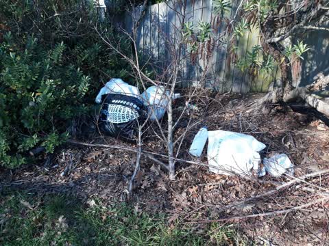Rubbish/Recycling, a report photo