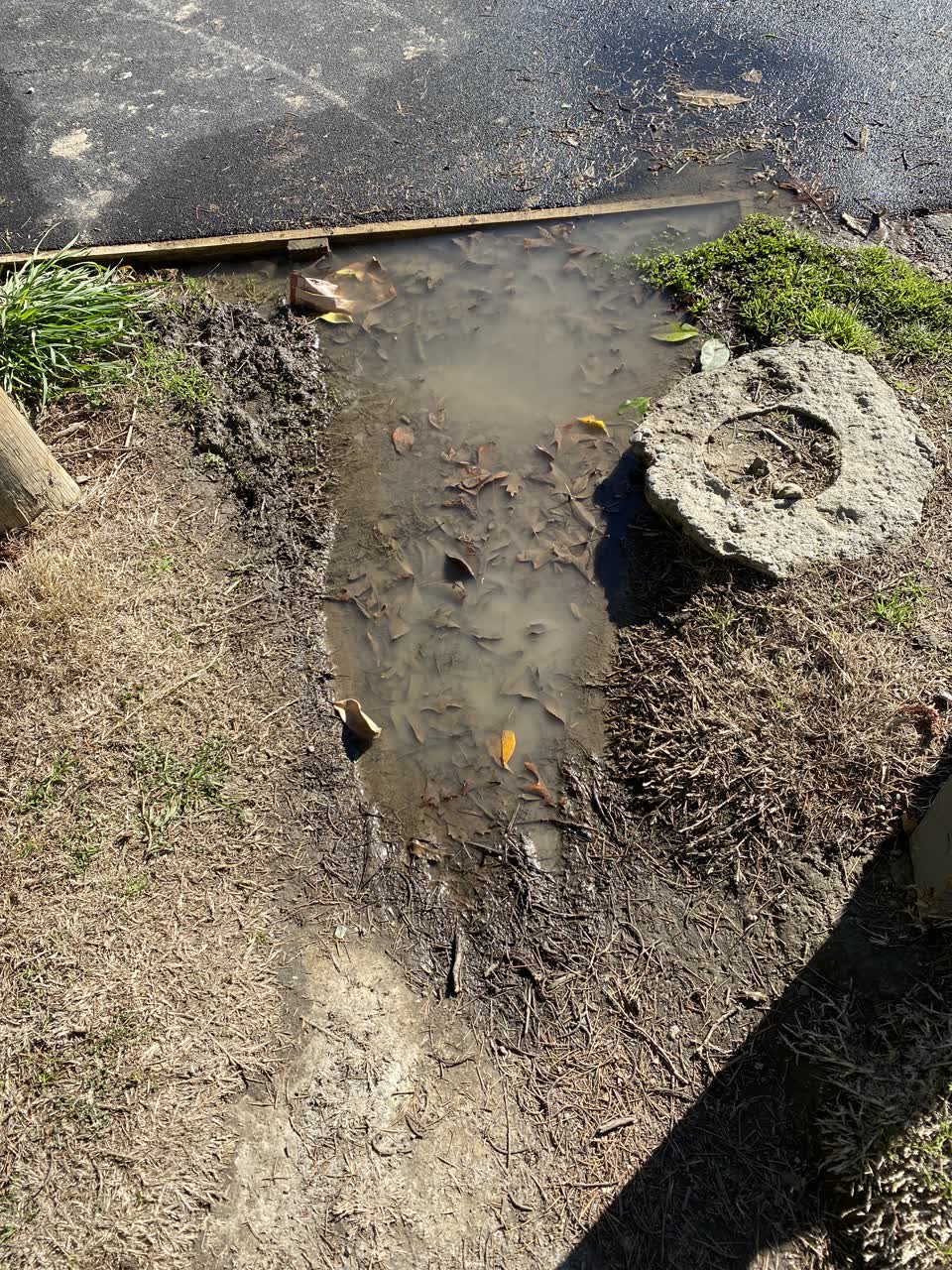 The photograph attached to this water leak report