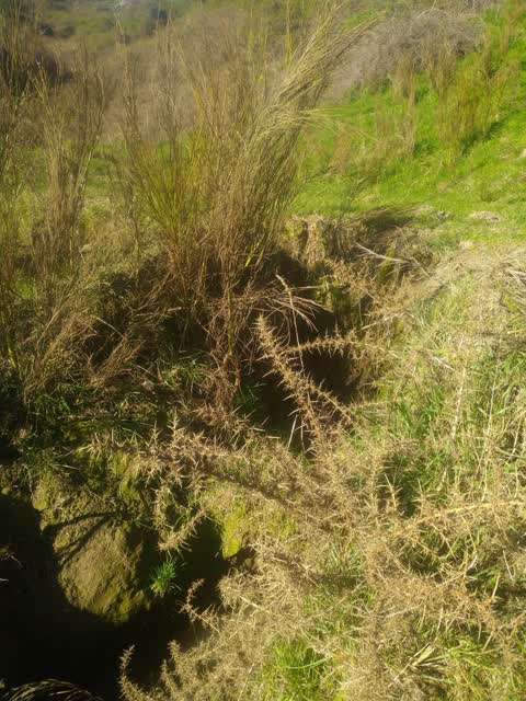 Wastewater/Stormwater, a report photo