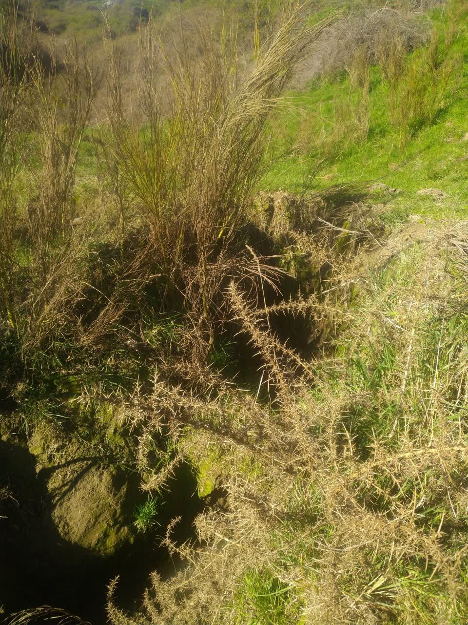The photograph attached to this wastewater/stormwater report