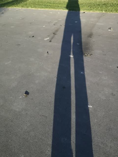 Parks, a report photo