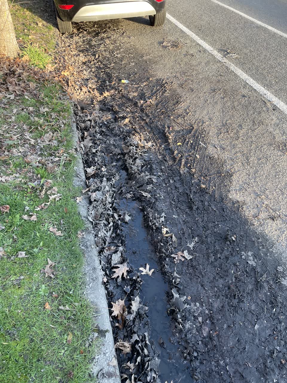 The photograph attached to this wastewater/stormwater report