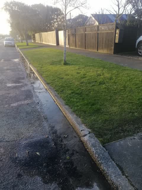 Water Leak, a report photo
