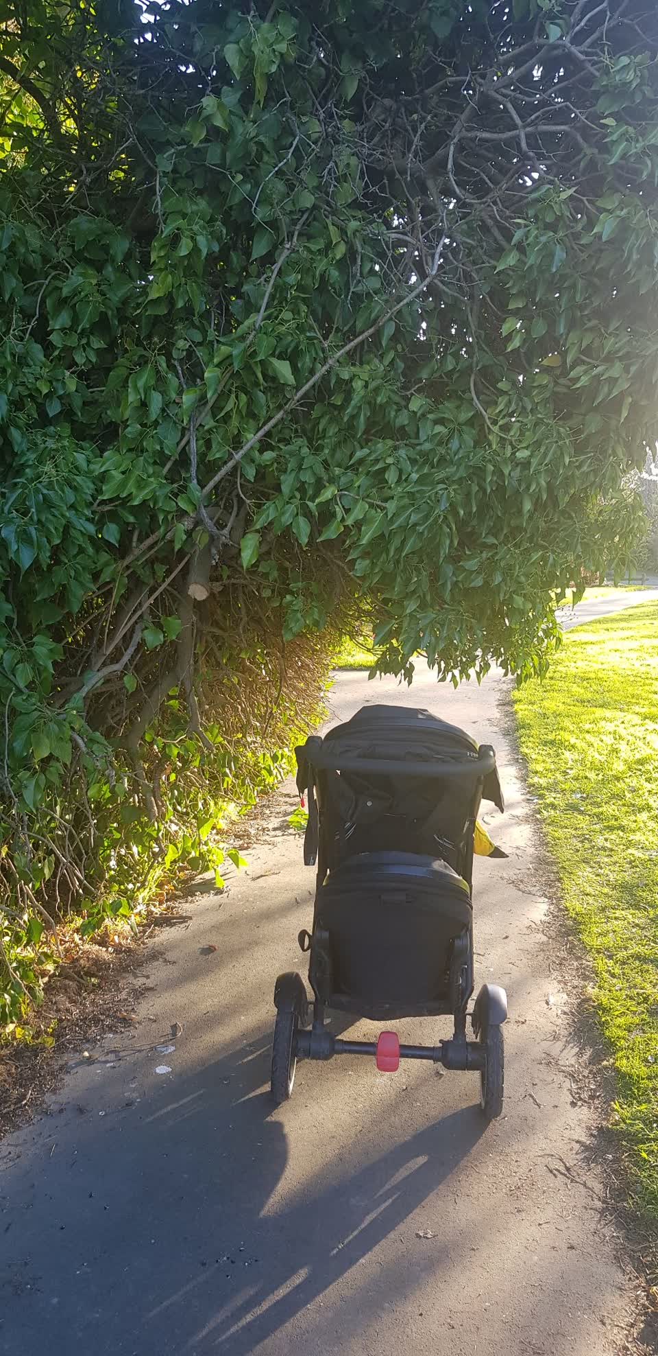 The photograph attached to this parks report