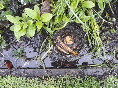 Water Leak, a report photo