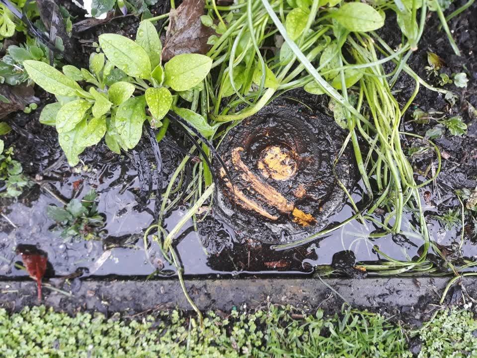 The photograph attached to this water leak report