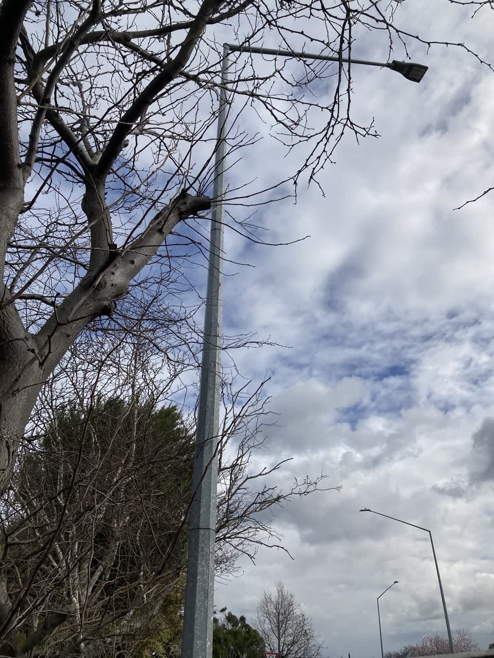 The photograph attached to this street light outage report