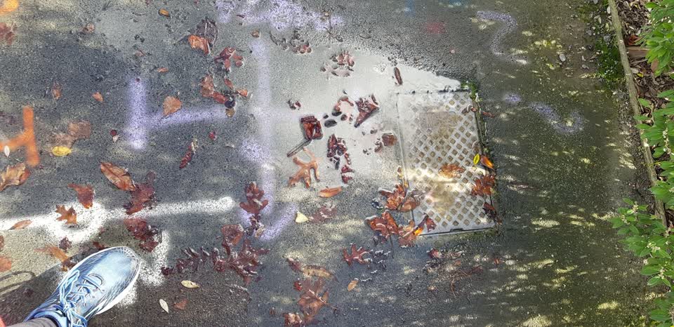 The photograph attached to this water leak report