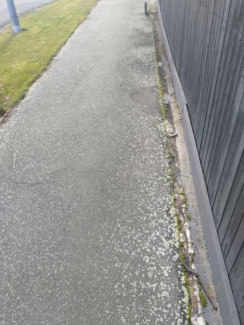 Roading/Streets, a report photo
