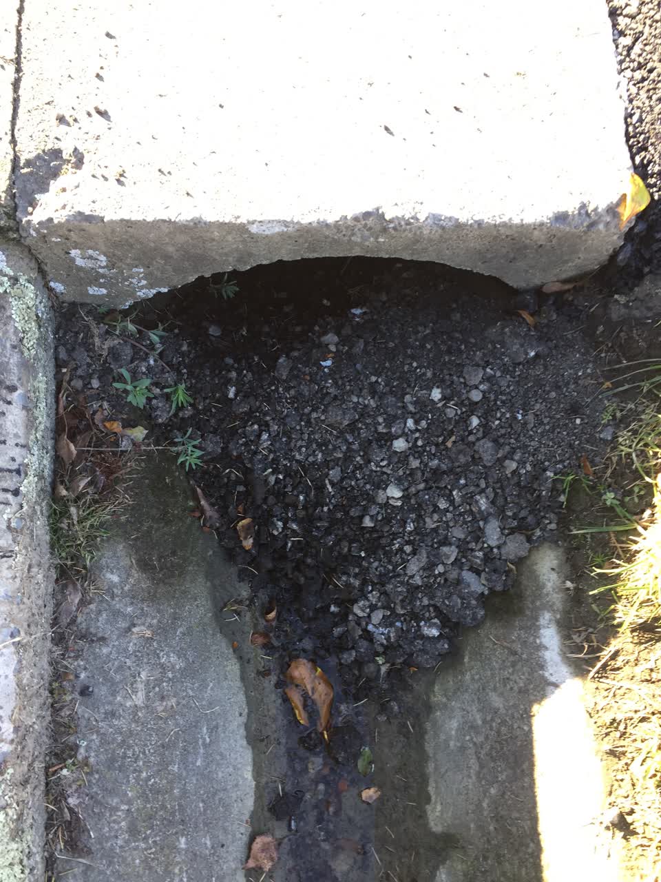 The photograph attached to this roading/streets report