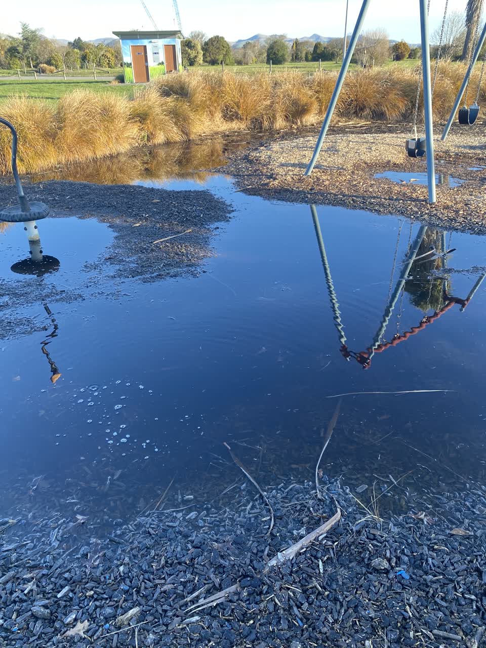 The photograph attached to this parks report