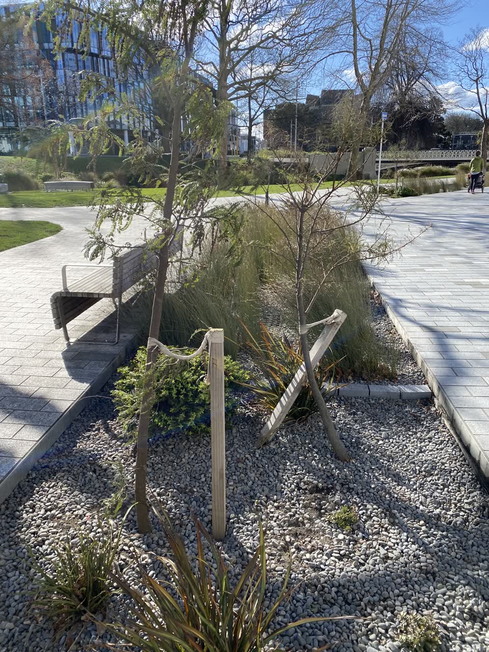 The photograph attached to this parks report