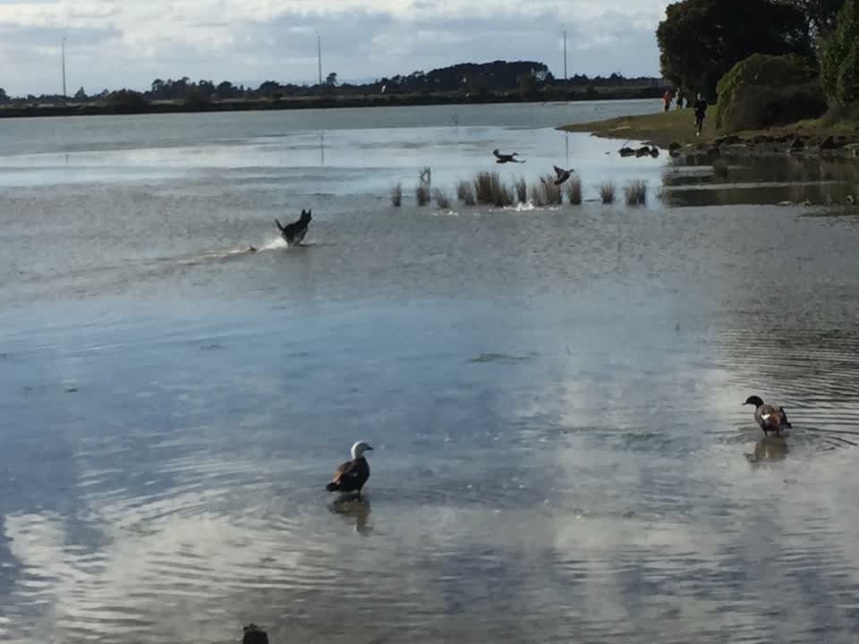 The photograph attached to this parks report