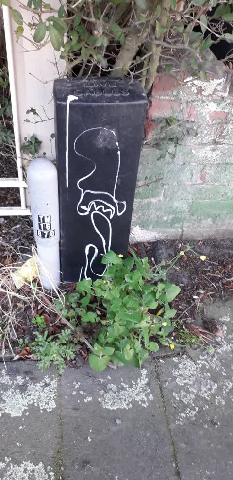 Graffiti, a report photo