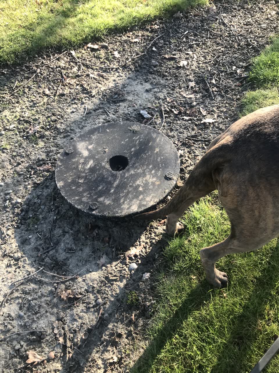 The photograph attached to this parks report