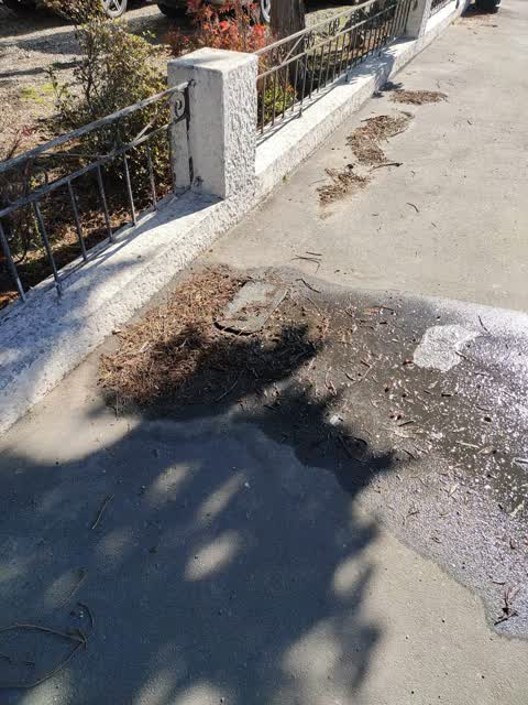 Water Leak, a report photo