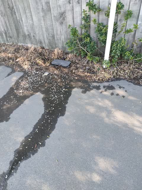 Water Leak, a report photo