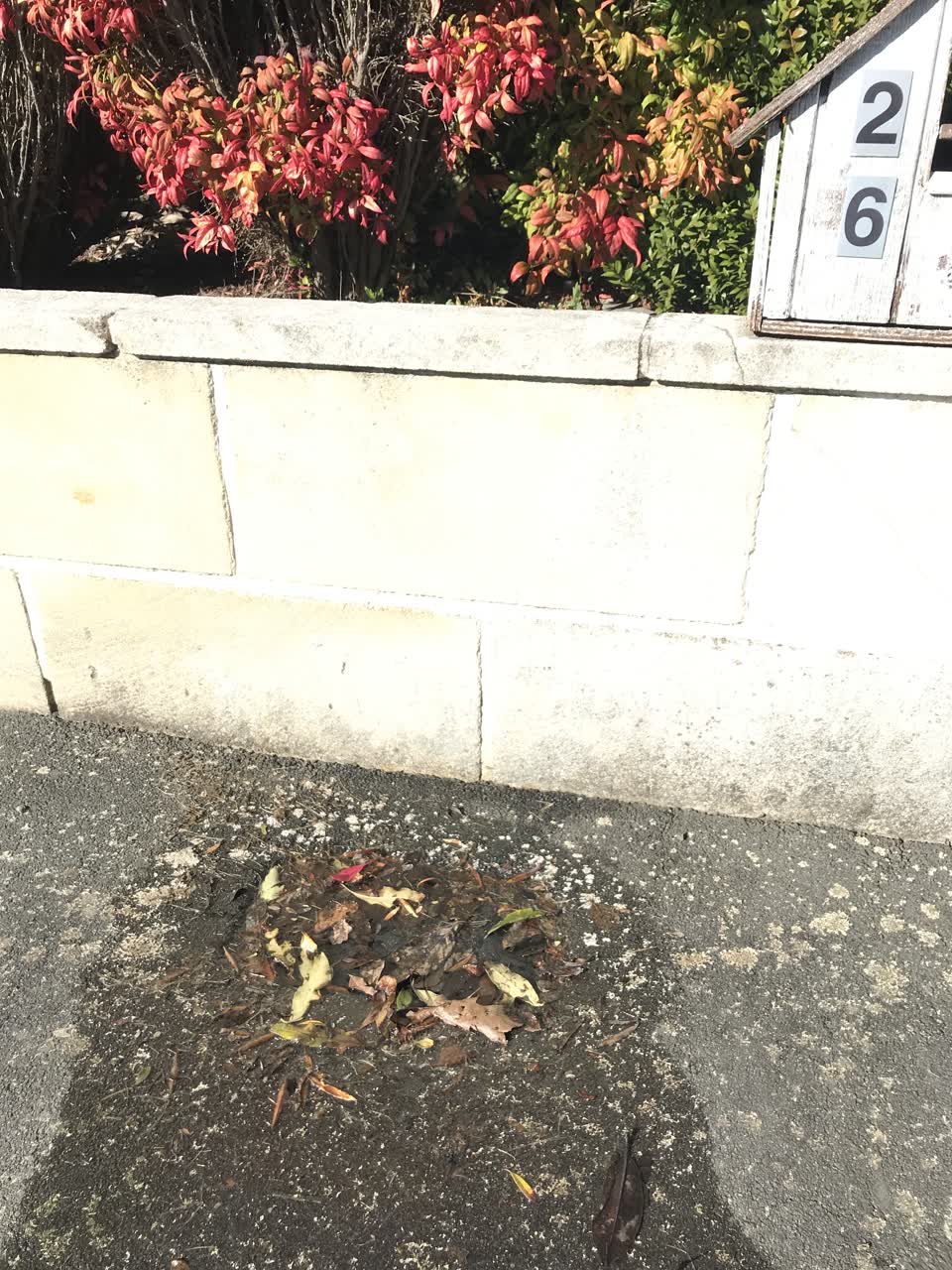 The photograph attached to this water leak report