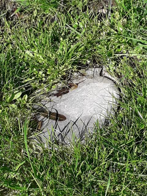 Water Leak, a report photo