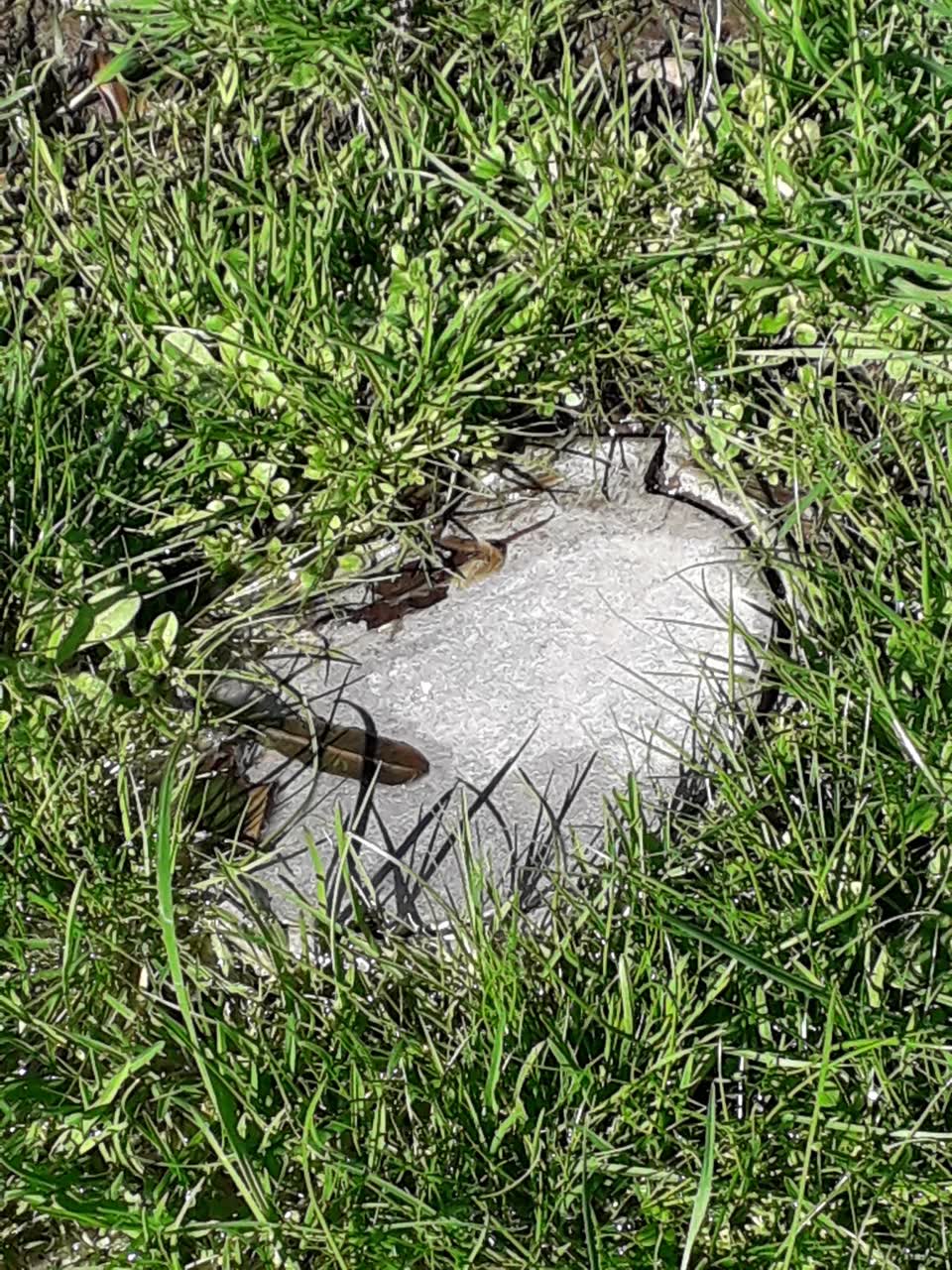 The photograph attached to this water leak report