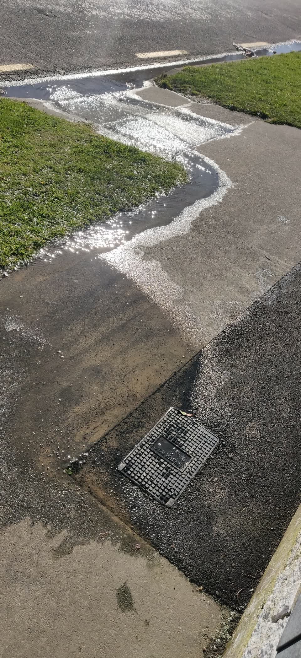 The photograph attached to this water leak report