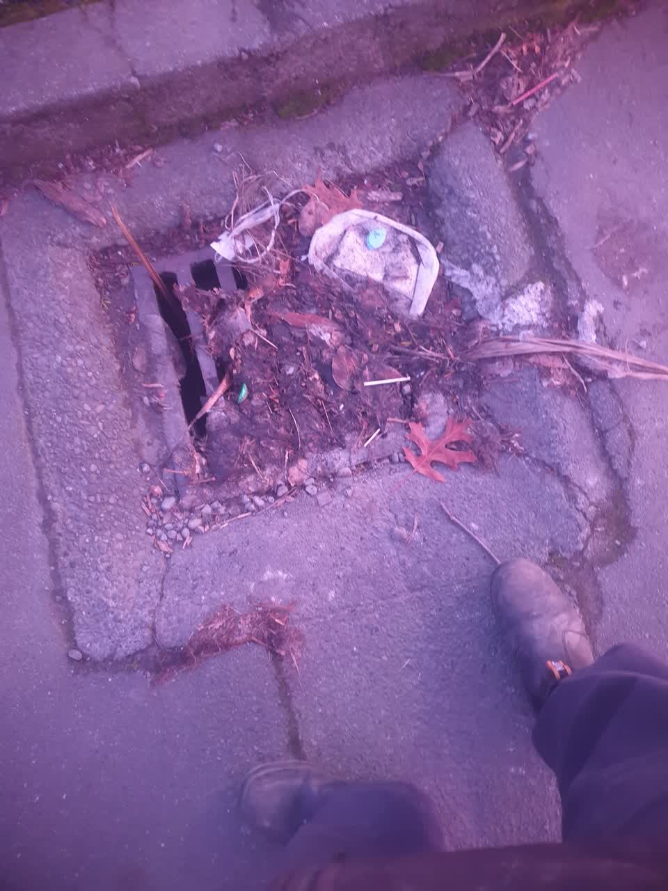The photograph attached to this sewer - leak / blockage report