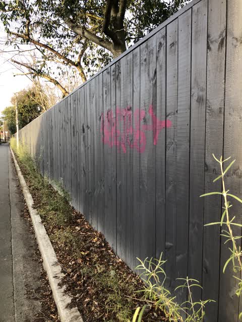 Graffiti, a report photo