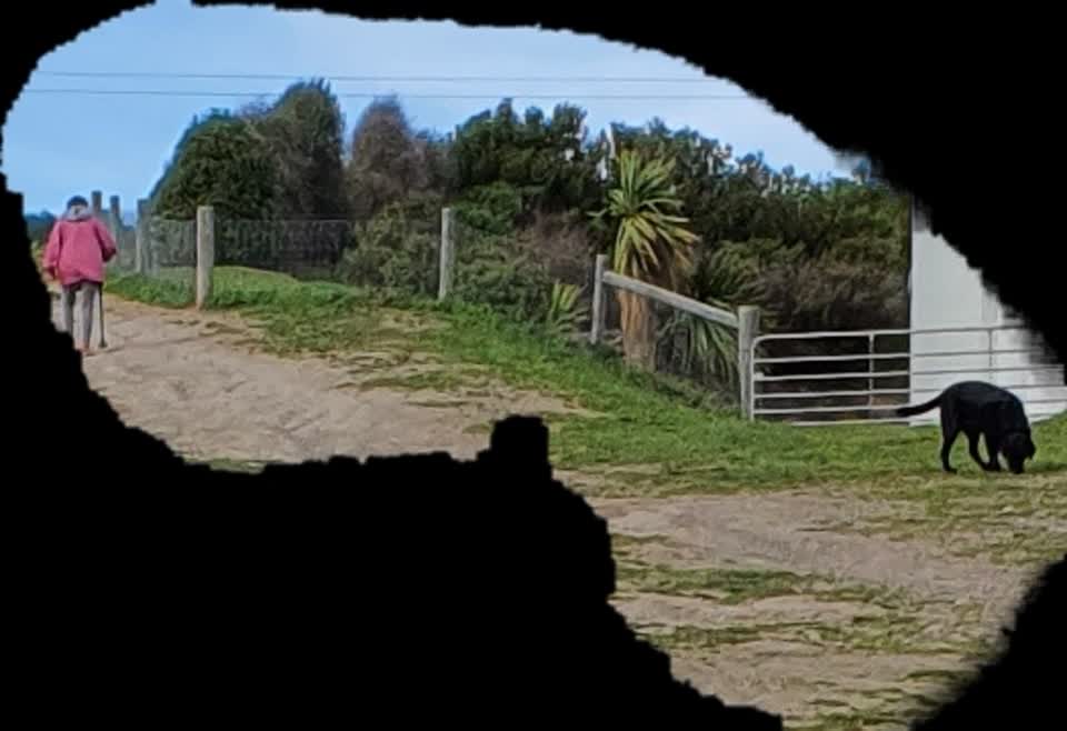 The photograph attached to this parks report