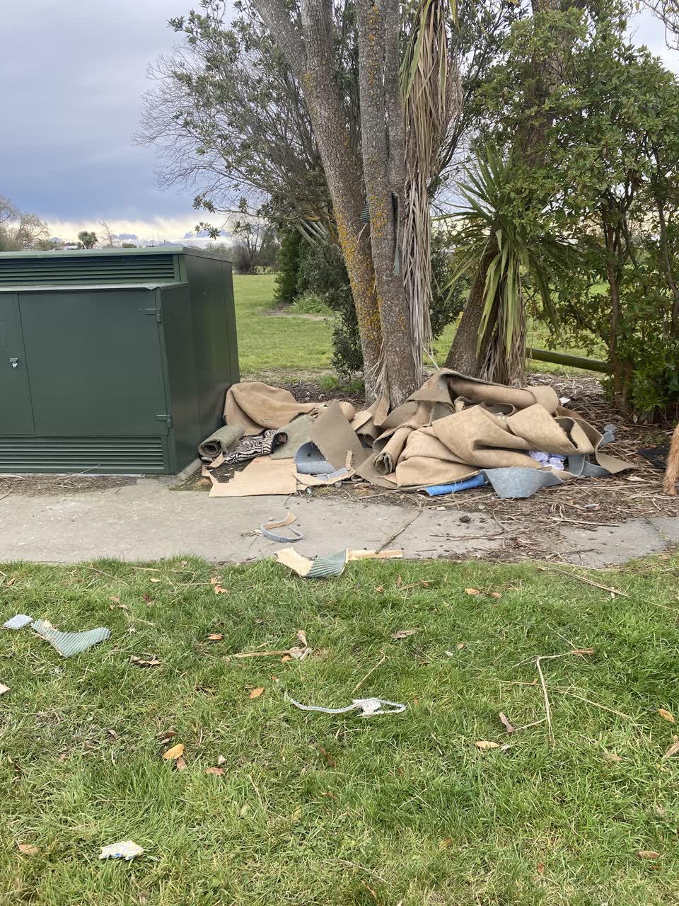 The photograph attached to this rubbish/recycling report